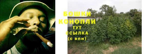 шишки Карпинск