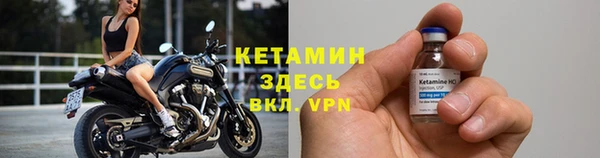 шишки Карпинск