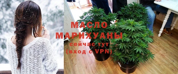шишки Карпинск