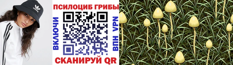 Псилоцибиновые грибы Psilocybine cubensis  Купить закладки  Арсеньев 
